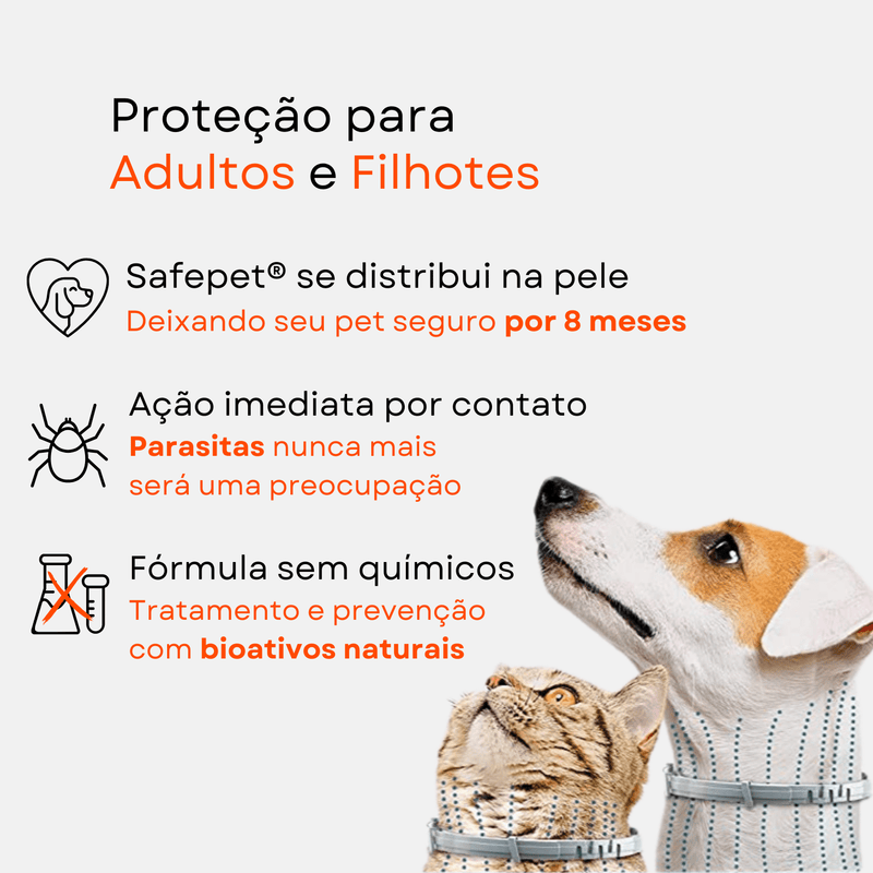 Colar Anti Pulgas e Carrapatos - Bernaishop